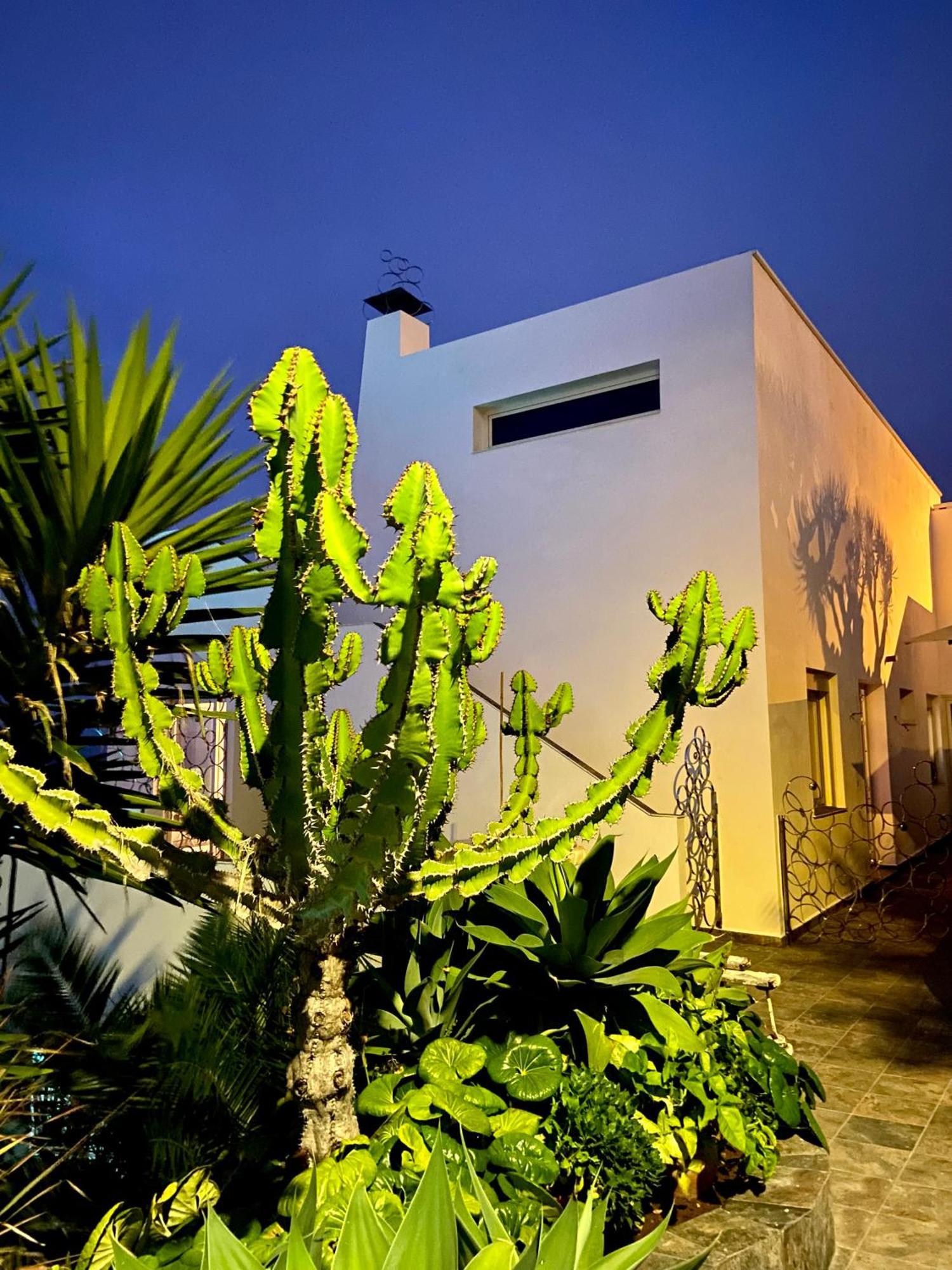 Villa Oasis La Paz - Pelinor Studio - Adults Only بويرتو ذي لا كروز المظهر الخارجي الصورة