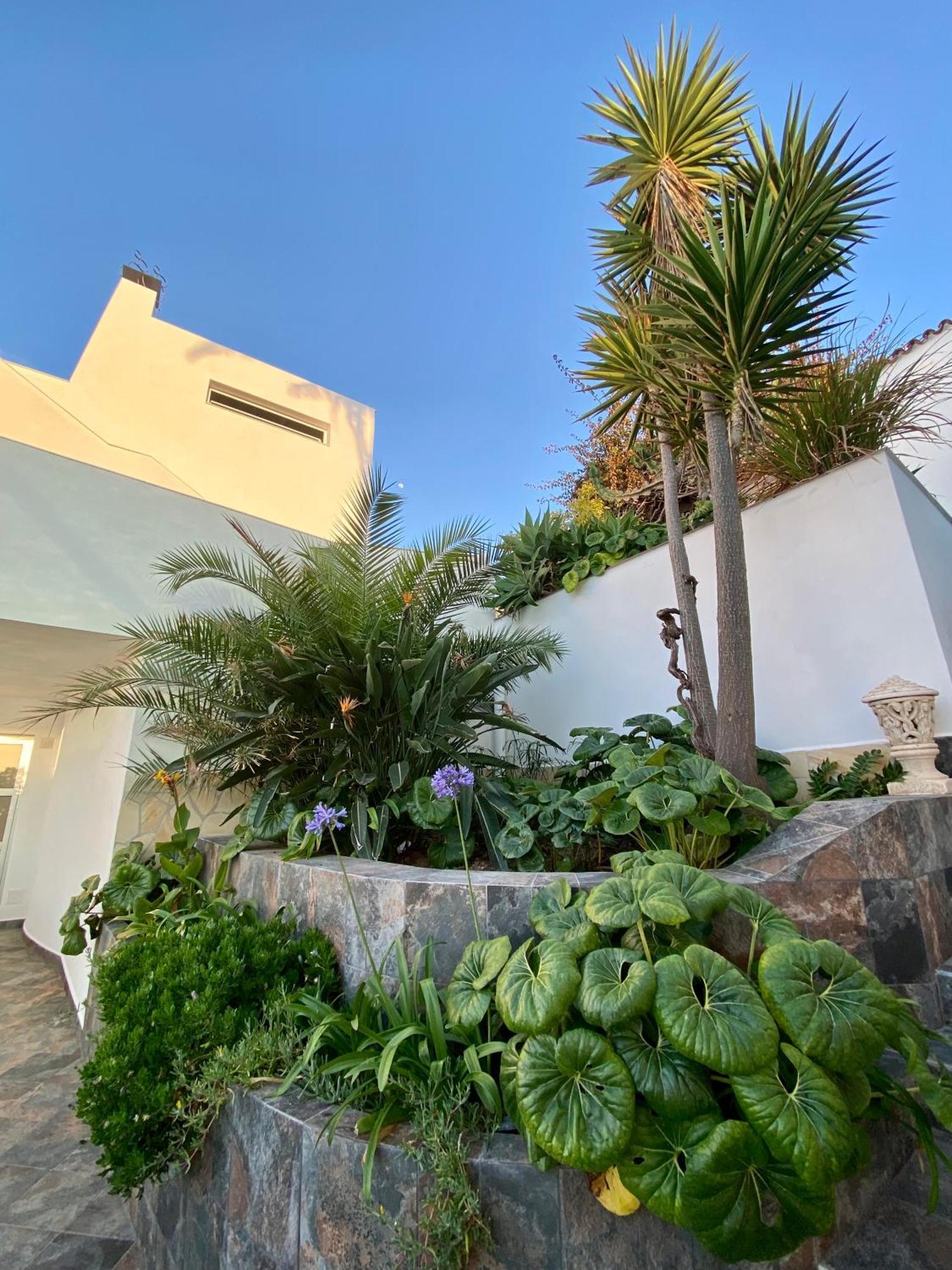 Villa Oasis La Paz - Pelinor Studio - Adults Only بويرتو ذي لا كروز المظهر الخارجي الصورة